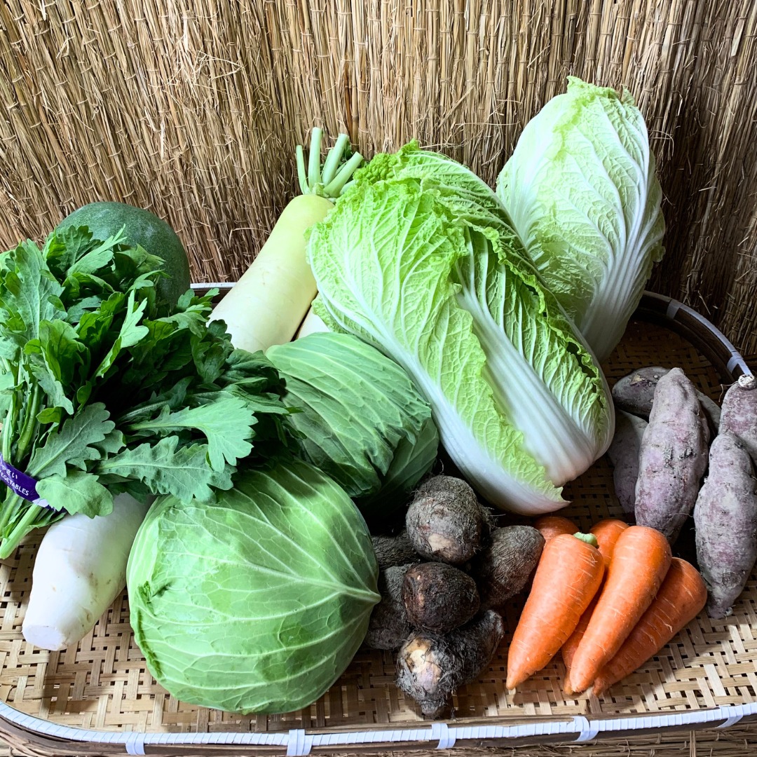 お鍋の季節ですね〜🍲❄️

ただいま販売中のお野菜は…
・白菜
・だいこん
・しゅんぎく
・里芋
・さつまいも（紅はるか）
・にんじん
・冬瓜

どれも朝採れの新鮮なものばかりです👏✨

さらにイレギュラーで
原木シイタケ も登場中！
香りも食感もぜんぜん違うので、ぜひお試しください🍄

ご予約やお取り置きもできますので、
お気軽にDM・お電話くださいね☺️🌱
#南丹市 #日吉町 #南丹野菜 #京都野菜 #コロンズファーム
#農家直売 #無人販売所 #直売所 #旬野菜 #冬野菜 #お鍋の季節
#白菜 #大根 #春菊 #里芋 #さつまいも #紅はるか #人参 #冬瓜 #原木椎茸
#朝採れ野菜 #地産地消 #新鮮野菜 #家庭料理 #冬ごはん
#農ある暮らし #京都農家 #野菜好きな人と繋がりたい