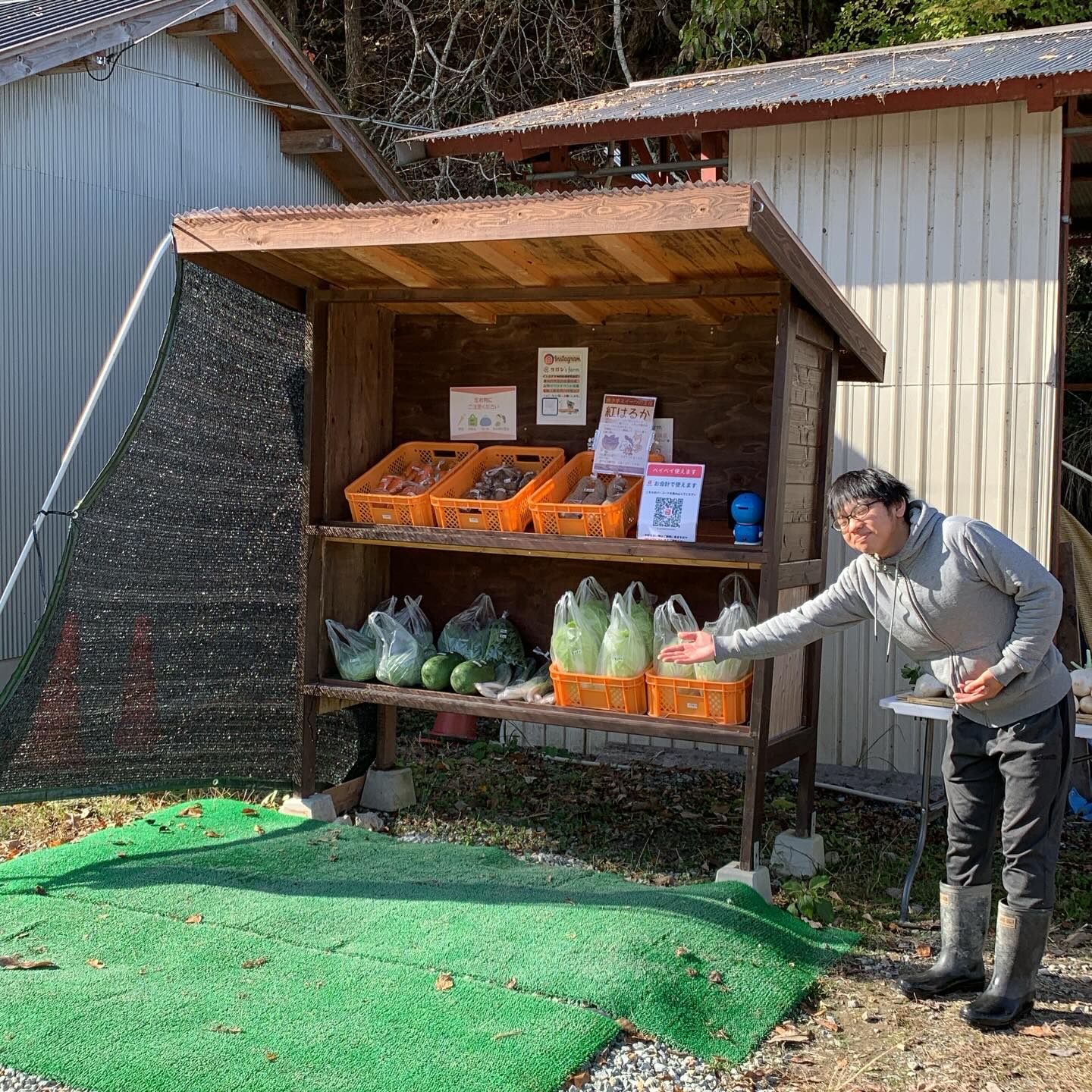 無人販売所オープンしております🤗
昨日に引き続きお天気も良くお出かけ日和ですね😄
今日も畑に行って来ま〜す🫡

#柴犬#鶏#田舎暮らし#無人販売所#ヤギ#野菜