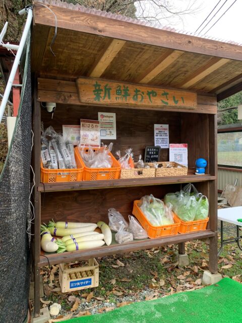 本日も無人販売所オープンしております🤗
雨が降ったりやんだりで水たまりが出来てしまって申し訳ありません🙇‍♀️
足元悪いですがお待ちしております🙇‍♀️

#南丹市#無人販売所#大根#白菜#人参#さつまいも
#紅はるか#田舎暮らし