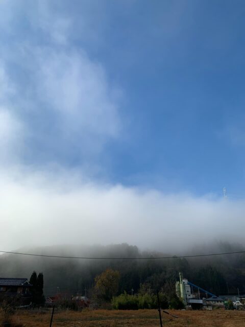 今日は朝から霧が出て寒かったです💦
明日から雨みたいなので今日中にやれる事はやっておきます😊
無人販売所オープンしております🤗
年内は休まず営業しておりますのでぜひお越し下さい🙇‍♀️

#南丹市#無人販売所#大根#白菜#さつまいも#田舎暮らし