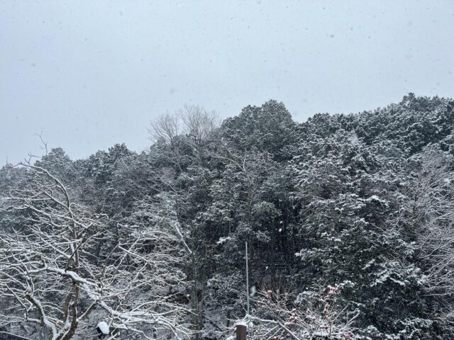 ご迷惑をお掛けして申し訳ございませんが本日、大雪のため販売所付近も雪が積もっているのでお休みさせていただきます。
#コロンズファーム
#雪だるま
#南丹市
#レタス
#白菜
#人参
#さつまいも
