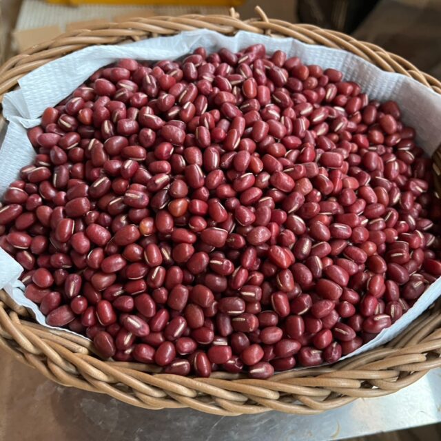 【京丹波産 大納言小豆】
2025年産の
京丹波産・大納言小豆。
ありがたいことに
今年分はほぼ予約販売で完売となり、
残りはほんのわずかとなりました。
粒立ち、色つやともに良く、
炊き上がりはふっくら。
あんこ・お赤飯・おはぎにおすすめです。
「やっぱり国産のちゃんとした小豆がいい」
そんな方に届いてほしい小豆です。
あ~お赤飯食べたいっ🍚
▶︎ 200g / 400円
▶︎ 数量限定・なくなり次第終了
※ 今年は栽培量を増やす予定です。
気になる方はDMください。
#京丹波産
#大納言小豆
#国産小豆
#あんこ好き
#季節の手仕事
#コロン’sファーム