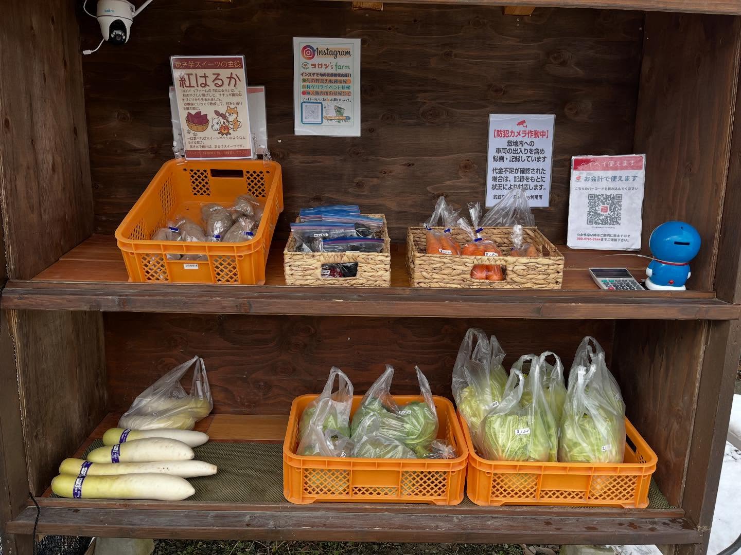 本日も販売しております!
雪が少し積もってる所もあるので、慌てずにお越しください!☃️
#無人販売所
#さつまいも
#白菜
#キャベツ
#小豆