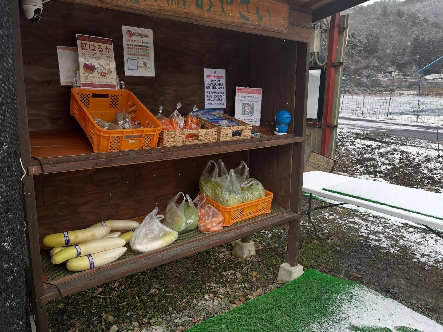 朝から雪が降っておりますが、本日も販売してます!
寒いですが心はぽかぽかでお待ちしてます😊
#無人販売所
#白菜
#さつまいも
#大根
#昆布