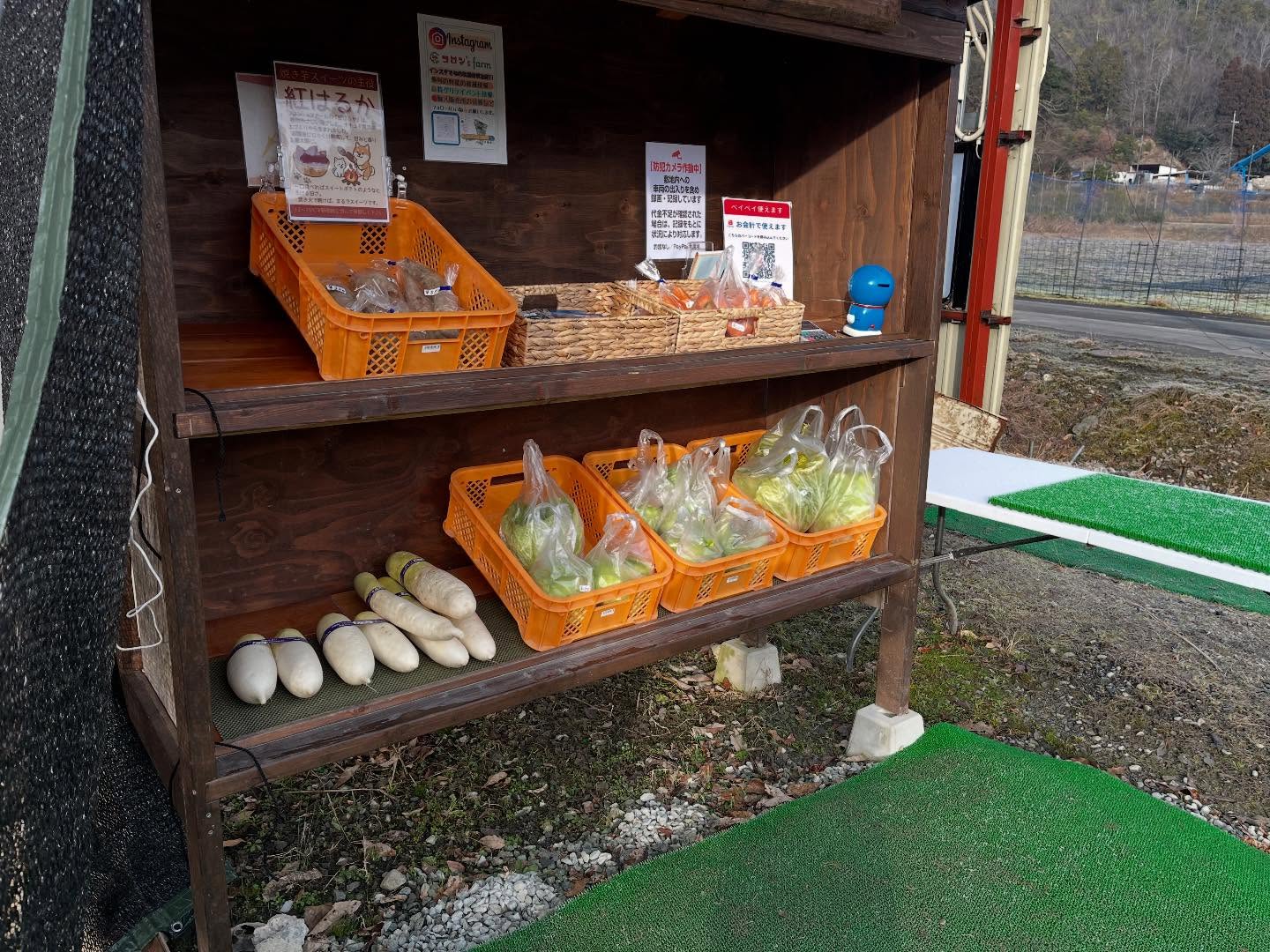 今日も販売してます！
寒い日が続きますが…
心あたたまる品をご用意してお待ちしてます😊
ぜひあったかくしてお越しください！
#白菜
#キャベツ
#大根
#人参
#さつまいも