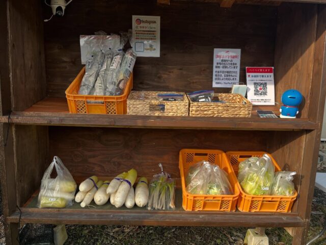 今日も元気に販売してます！
あったかくして、ぜひお越しください！
#白菜
#キャベツ
#ネギ
#昆布
#大根