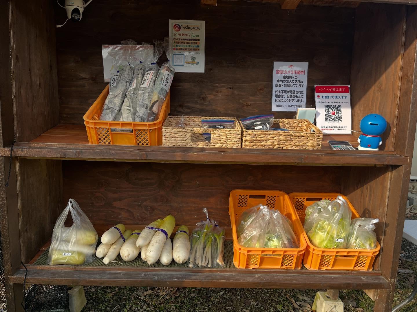 今日も元気に販売してます！
あったかくして、ぜひお越しください！
#白菜
#キャベツ
#ネギ
#昆布
#大根