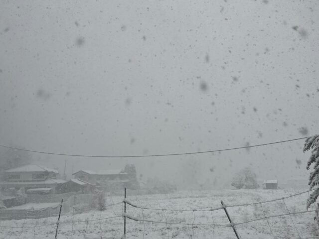 本日大雪の為無人販売所はお休みさせて頂きます！
ご迷惑をおかけしますがよろしくお願い致します🙇‍♀️

#南丹市#無人販売所##田舎暮らし