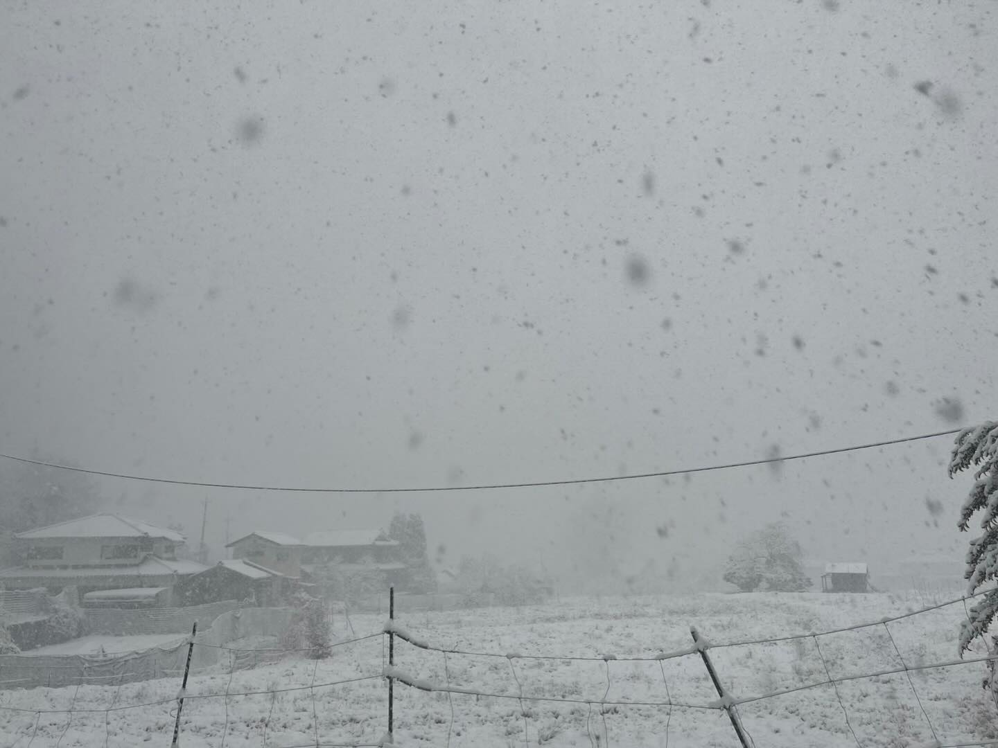 本日大雪の為無人販売所はお休みさせて頂きます！
ご迷惑をおかけしますがよろしくお願い致します🙇‍♀️

#南丹市#無人販売所##田舎暮らし