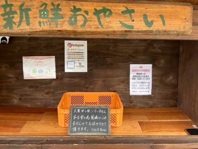 おはようございます😊
本日大雪の影響で収穫が出来ない為お休みさせて頂きます☃️
ご迷惑をおかけしますがよろしくお願い致します🙇‍♀️

#南丹市#田舎暮らし#無人販売所