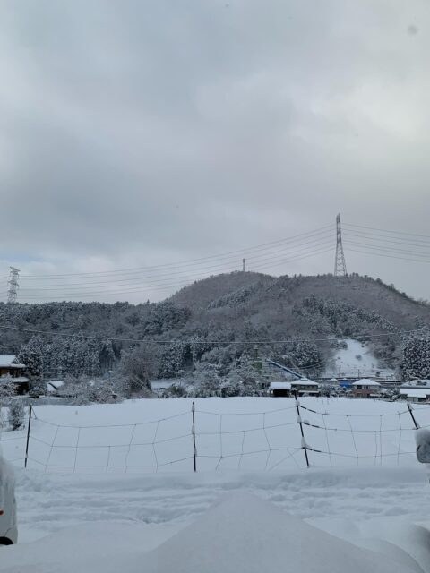本日も大雪の為無人販売所お休みさせて頂きます。
ご迷惑をおかけ致しますがよろしくお願いします🙇‍♀️

これから雪かき頑張ってきます！

#南丹市#無人販売所#田舎暮らし#新鮮野菜