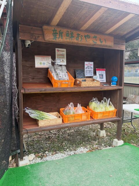 おはようございます😊
昨日に引き続き今日も気温は低いですね😰
そんな寒さの中でも発芽して頑張ってるお野菜達です😊
春が楽しみです😋
#南丹市#無人販売所#田舎暮らし