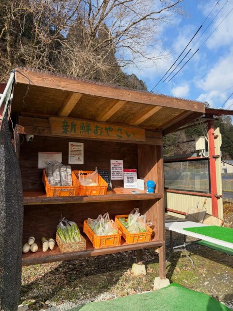 今日は寒さプラス風にやられてます😅
風にも負けず旗を立てております🚩
昼間は暖かい日も増えてきましたが体調を崩されないよにして下さい😊

#南丹市#無人販売所#田舎暮らし