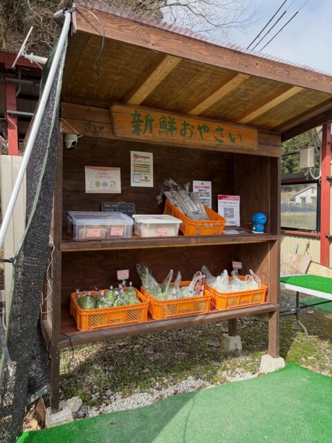 おはようございます！
今日は晴れたり曇ったりしてます😓

るみちゃん農園さんのコシヒカリ
お試し3合入り、1kg、3kg、5kgで販売させて頂いております！

白菜の菜花今日は少し寒いのでお鍋の具材としても美味しいです！
お浸しもオススメです！苦味がないので食べやすいです😊

#南丹市#田舎暮らし#無人販売所