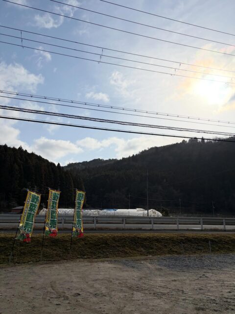 おはようございます☀
今日は朝から太陽が眩しい✨
こんな日は気持ちも晴れやか🤭
白菜の菜花取れ出してきました!苦味が苦手な方にオススメです😊
今日も畑作業頑張ってきま〜す💨
#南丹市#無人販売所#田舎暮らし#なばな