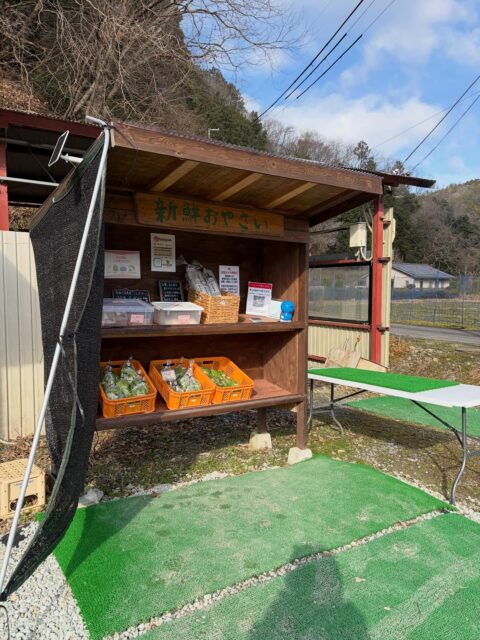 おはようございます😊
今日も朝から寒いですが太陽が出てきて嬉しいです☀️
苗も大きくなってきたのでこの寒さが和らいだら植え付けします🤗
もう少しお待ち下さい🙇♀️
#南丹市#無人販売所#田舎暮らし#ブロッコリー#コシヒカリ