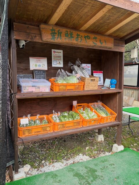 今日は曇り空☁️
苗も🌱大きくなってきたのでそろそろ畑へ移動してもらいましょう🤗
これから畑がお野菜でうまっていくのが嬉しいです🤭

#南丹市#田舎暮らし#無人販売所#ブロッコリー#コシヒカリ
