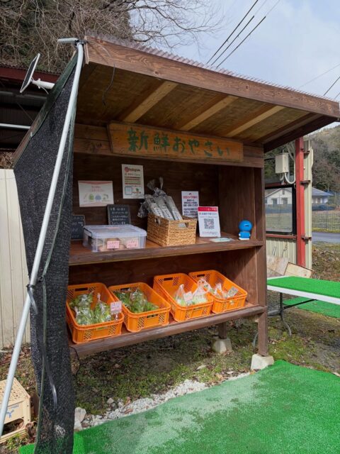 今日は朝から雨☔が降ったりやんだり💦
中々畑に入らせてくれないこの天気😓
晴れた日を狙ってトラクター🚜をかけねば😅
3月のお天気は良かったり悪かったりが激しいです😢

#南丹市#無人販売所#田舎暮らし#ブロッコリー#ほうれん草