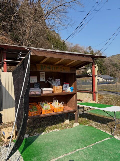 今日は朝からいいお天気です☀️
お出かけ日和の連休ですね🤭
このお天気の間に畑のお野菜がよく育つ事を願ってます😊
#南丹市#無人販売所#田舎暮らし#ブロッコリー#キャベツ