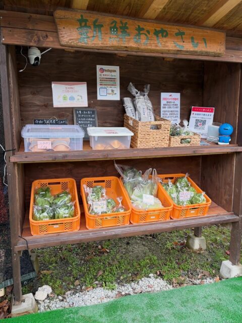 おはようございます😊
今日は朝雨が少し降っていました☂️
アスパラが少しとれました🤗
春を感じさせてくれます!
堆肥も撒きたいけど圃場が雨でベタベタ😓
晴れた日に頑張ってまきます!
#南丹市#無人販売所#田舎暮らし#ブロッコリー#アスパラ