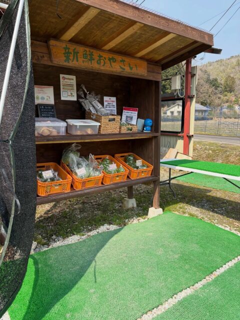 今日は朝から暖かい☀️
ほうれん草もスクスク育ってます😊
少し小さめですが美味しいですよ😋
今日も植え付け頑張って行ってきます💨

#南丹市#田舎暮らし#無人販売所#ブロッコリー#ほうれん草