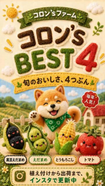 旬のおいしさ、4つぶん。コロン’s BEST 4！
コロン’sファームが自信を持ってお届けする、毎年人気の「4大エース」をご紹介します！
1.	黒豆えだまめ
秋の楽しみといえばこれ。濃い甘みと、ほくほくとした食感がたまりません。
2.	えだまめ
茹でたては最高のご馳走。甘みたっぷりに育てています。マメ作りが一番得意なコロン'sファームです‼️笑
3.	とうもろこし
毎年完売御礼！鮮度にこだわり、朝採りの甘さをそのままお届けします。取り立ては生でも激アマ🤤
今年は「ドルチェドリーム」も仲間に加わりました！
4.	トマト
夏の太陽を浴びて、畑でじっくり完熟。ぎゅっと詰まった「本物のうまみ」をどうぞ。
「どんな風に育っているの？」
そんな疑問にお答えすべく、コロン’sファームでは植え付けから出荷までの様子をインスタで更新中です。
私たちが愛情込めて育てる過程も、ぜひ一緒に楽しんでください！
気になる野菜があれば、ぜひ投稿をチェックしてくださいね。
⁡
#コロンズファーム #京都 #南丹市 #農業 #旬の野菜 黒豆えだまめ とうもろこし ドルチェドリーム 完熟トマト 産地直送 農家直送 指導農業機械士 女性が活躍しやすい農業へ