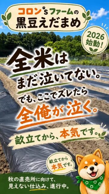 黒豆えだまめの畝立ては、ほぼ一発勝負。

畝を立てた瞬間から、
水はけ、通気性、土の温度、根の張り方まで
その後の生育にずっと関わってきます。

派手な作業ではないけど、
ここで手を抜くと、秋にちゃんと返ってくる。

だから、ひとつひとつ。
初恋くらいの愛情こめて仕込んでます。

京丹波産 黒豆えだまめ。
今年も秋に向けて、コロン’sファーム始動です。⁡
⁡
#コロンズファーム #京丹波産黒豆えだまめ #黒豆えだまめ #畝立て #農家のリアル