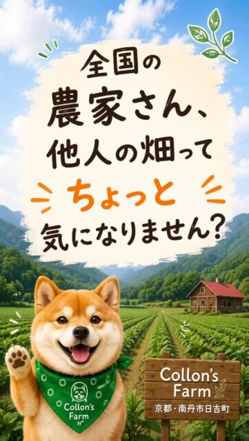 全国の農家さんへ。

他人の畑って、
意外と見る機会ないですよね。

でも実は、
京都・南丹の日吉で畑やってますので、
タイミング合えば気軽に寄ってください😊

視察とか研修とか、
そんな大げさな話じゃなくて大丈夫です。

作付けの話でも、
販売の話でも、
失敗談でも。

就農希望の方、
家庭菜園やってる方、
田舎暮らしに興味ある方、
他業種の経営者さんも大歓迎です。

ただ、畑にいない日もあるので、
来られる前にDMだけお願いします🙏

「畑寄りたい」

と送ってもらえたらOKです🌽🐕✨

京都・南丹市日吉町
コロン’sファーム⁡
⁡
#農家と繋がりたい
#就農希望
#家庭菜園好きな人と繋がりたい
#京都農業
#コロンズファーム