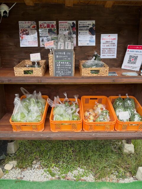 この度資材高騰などの理由により日高昆布を値上げせざるを得ない状況になりました🙇‍♀️
皆様にはお迷惑をおかけしますがよろしくお願い致します。

そんな中黒枝豆さんは顔を出しています☺️
今年の秋に向けて頑張って育てていきます🤗

#南丹市#無人販売所#キャベツ#レタス#田舎暮らし