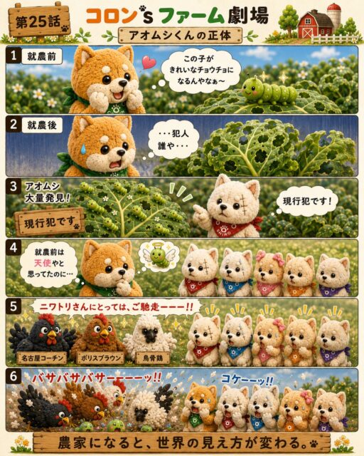 就農前は、アオムシくんを見ると
「この子がきれいなチョウチョになるんだなぁ」
なんて思っていました。

でも農家になると、葉っぱを穴だらけにする存在。
正直、悪魔に見える瞬間があります。

そしてニワトリさんにとっては、ご馳走。
畑では今日も、それぞれの正義がぶつかっています。

#コロンズファーム
#農業あるある
#アオムシ
#家庭菜園あるある
#畑のリアル