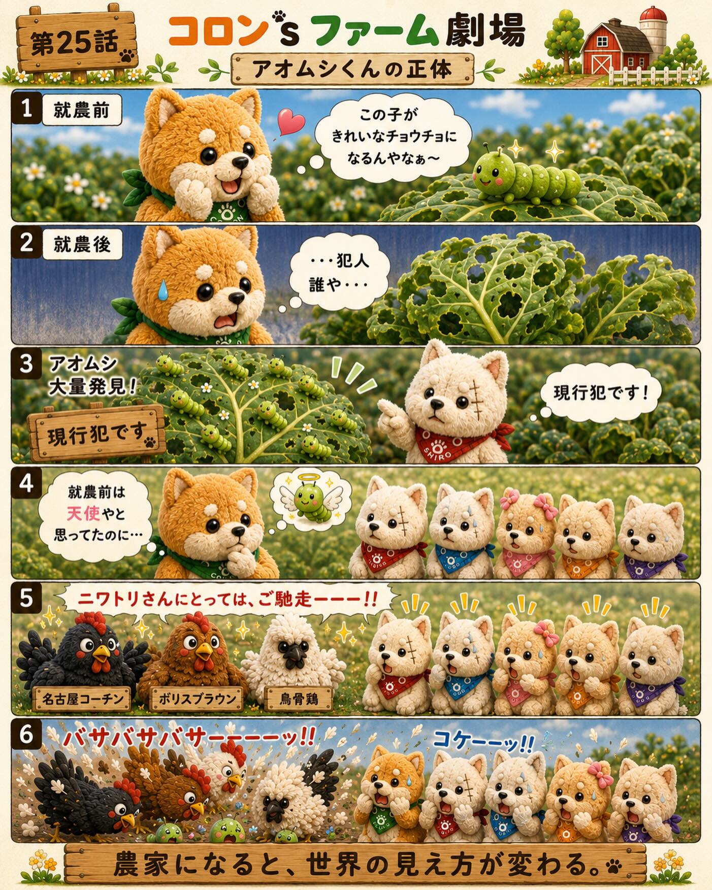 就農前は、アオムシくんを見ると
「この子がきれいなチョウチョになるんだなぁ」
なんて思っていました。

でも農家になると、葉っぱを穴だらけにする存在。
正直、悪魔に見える瞬間があります。

そしてニワトリさんにとっては、ご馳走。
畑では今日も、それぞれの正義がぶつかっています。

#コロンズファーム
#農業あるある
#アオムシ
#家庭菜園あるある
#畑のリアル