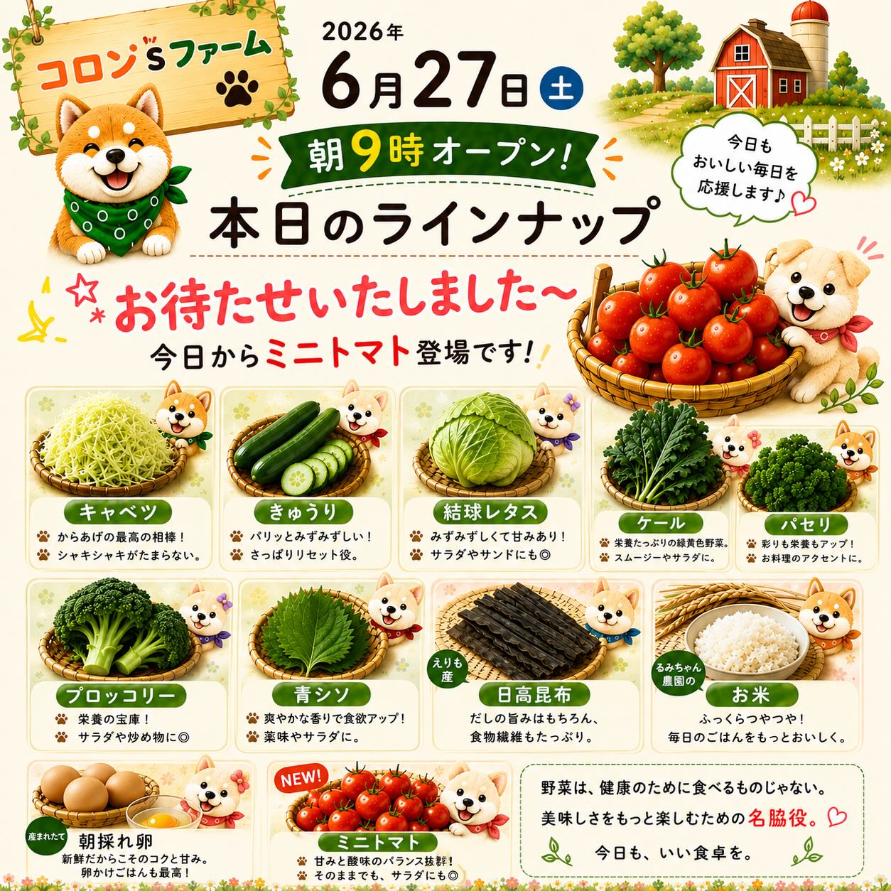 お待たせいたしました〜🍅✨
今日からミニトマト登場です。

そのままでも、サラダにも◎
甘みと酸味のバランスがいいので、食卓にちょこんとあるだけでうれしいやつです。

本日も朝9時オープン。
見つけたらぜひお迎えください😊

ハッシュタグ5個

#コロンズファーム
#南丹市
#無人販売所
#ミニトマト
#今日のラインナップ