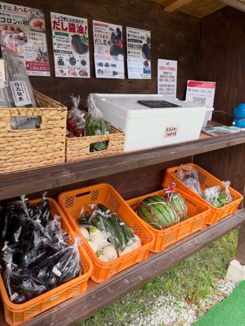 🌞🍉**本日もコロン’sファーム無人販売所オープンしています！**🌱

朝採れの新鮮な野菜をご用意しました😊

本日のラインナップはこちら✨

🍆 なす
🤍 白ナス
🥒 きゅうり
🍅 ミニトマト
🍉 スイカ

とろけるような食感の白ナスや、採れたての夏野菜がおすすめです✨
千両ナスも沢山出ています😊
揚げナス、田楽、煮浸しなどオススメです🍆

お近くにお越しの際は、ぜひコロン’sファーム無人販売所へお立ち寄りください😊

皆さまのご来店を心よりお待ちしております！

📍コロン’sファーム 無人販売所

#コロンズファーム #無人販売所 #南丹市 #朝採り野菜 #夏野菜