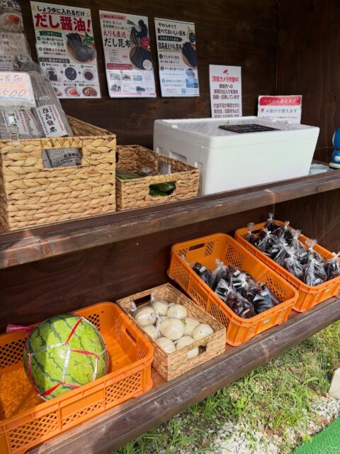 🍆🌞**本日もコロン’sファーム無人販売所オープンしています！**🌱

朝採れの新鮮な夏野菜をご用意しました😊

本日のラインナップはこちら✨

🍆 なす
🤍 白ナス
🥒 きゅうり
🍉 大玉スイカ

🍆なすの美味しい季節です！夏の食卓にぴったりの採れたてなすを、ぜひ味わってみてください✨

採れたてのなすを使って、麻婆なすを作ってみました😋

採れたてだからこそ、なすがとろっとやわらかく、ご飯が進む美味しさです🍚✨

「今日の晩ごはん、何にしようかな？」という方は、ぜひコロン’sファームの夏野菜をお楽しみください😊

皆さまのご来店を心よりお待ちしております！

📍コロン’sファーム 無人販売所

#コロンズファーム #無人販売所 #南丹市 #朝採り野菜 #夏野菜