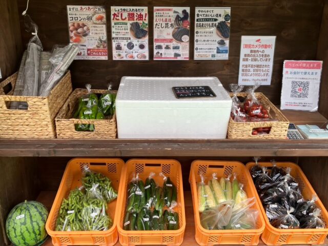 🌽**少しですが白とうもろこしが並びました！**🌽✨

本日の無人販売所には、

🌽 白とうもろこし
🍆 なす
🥒 きゅうり
🫛 枝豆
🍅 ミニトマト
🍉 大玉スイカ

をご用意しています😊

🌽甘みたっぷりの白いとうもろこしは、みずみずしくてジューシー！
生でも食べられるほど甘く、夏ならではの人気商品です✨

白いとうもろこしは少量のご用意となります🙇‍♀️
楽しみにしてくださっている皆さまには申し訳ありませんが、なくなり次第終了となりますので、お早めにどうぞ😊

🍆なすも絶好調！
美味しい季節を迎え、夏の食卓にぴったりです😊

万願寺とうがらしも少し並んでいます！

皆さまのご来店を心よりお待ちしております😊

📍コロン’sファーム 無人販売所

#コロンズファーム #無人販売所 #南丹市 #朝採り野菜 #夏野菜