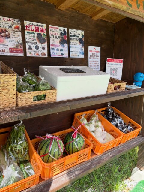 🌿✨ 今日も朝採り夏野菜、並んでます！ ✨🌿

今朝も畑から、夏の恵みをたっぷり収穫してきました😊

🫛 枝豆
🍆 なす・白なす
🥒 きゅうり
🌶️ 万願寺とうがらし
などなど、夏野菜が元気いっぱいです✨

枝豆もぷっくり実が入って、いい感じ👌
なすも引き続き絶好調です🍆
ころんと真っ白な白なすも採れています🤍
加熱すると、とろ〜っとやわらかくなるので夏の食卓にもおすすめです😋

採れたてのお野菜、ぜひ味わってみてください😊

暑い日が続いていますので、お越しの際はお気をつけて🚗
今日も無人販売所でお待ちしております🌿

#コロンズファーム #無人販売所 #朝採り野菜 #夏野菜 #南丹市
