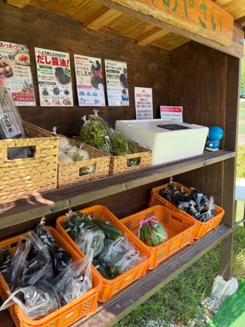 🌱**本日も新鮮野菜を販売中です！**😊

本日の無人販売所には、

🍆 なす
🤍 白ナス
🥒 きゅうり
🫛 枝豆
🍉 大玉スイカ

をご用意しています✨

🍆なすの美味しい季節です！
夏の食卓にぴったりの採れたてなすを、ぜひ味わってみてください😊

🫛採れたての枝豆もおすすめです！
夏ならではの旬の味覚をお楽しみください✨

🍉大玉スイカは数に限りがございます。
ご希望の方はお早めのご来店がおすすめです😊

🌇日中は厳しい暑さですが、夕方になると涼しい風が吹き、畑も少し穏やかな表情に。
この時間の空気にいつも癒されています🌿

皆さまのご来店を心よりお待ちしております😊

📍コロン’sファーム 無人販売所

#コロンズファーム #無人販売所 #南丹市 #朝採り野菜 #夏野菜