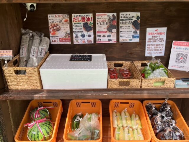 🌽✨ 今日も夏野菜、いろいろ並んでます！ ✨🌿

今日はとうもろこしも収穫できました😊
白いとうもろこしも採れています🌽🤍
数は少なめですみません🙏 気になる方はお早めにどうぞ✨

そして、ツヤツヤの万願寺とうがらしもいい感じ🫑
焼いても、炒めても、煮びたしにしても美味しいですよ😋

売り場には
🌽 とうもろこし
🍆 なす
🥒 きゅうり
🫑 万願寺とうがらし
🍅 ミニトマト
🍉 スイカ
など、採れたての夏野菜が並んでいます✨

暑い日が続きますが、畑の野菜たちは元気いっぱい💪🌿
今日も無人販売所でお待ちしております😊

※売り切れの際はごめんなさい🙏

#コロンズファーム #無人販売所 #朝採り野菜 #とうもろこし #夏野菜