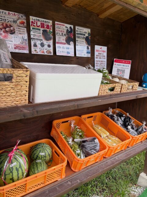 🌽✨ 採れたて夏野菜、今日も並んでます！ ✨🌿

今朝も畑から採れたてを無人販売所へ😊

🌽 とうもろこし
ぷっくりツヤツヤ、いい感じに仕上がっています✨
甘くてジューシーな夏の味、ぜひ楽しんでください😋

🫑 万願寺とうがらしも絶好調！
たっぷり収穫できています😊
焼いてお醤油をちょこっと、天ぷらや炒め物にも◎
夏の食卓にぴったりです✨

ほかにも、🍉スイカ・🍆ナス・枝豆など、採れたてのお野菜を並べています🌿

🍅 トマトは少しずつ収穫量が減ってきました。
採れた分から並べていますので、見かけたらぜひどうぞ😊

暑い日が続いています☀️
無人販売所へお越しの際は、暑さに気をつけてお越しくださいね。

本日もよろしくお願いします😊🌽🫑

#コロンズファーム #無人販売所 #朝採り野菜 #とうもろこし #万願寺とうがらし