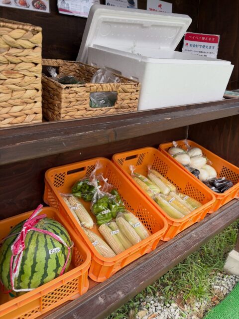 🌽✨ 今日も採れたて夏野菜、並んでます! ✨🌿
今日のとうもろこしも、いい感じに仕上がってます😊
黄色と白の粒がぎゅっと詰まって、ツヤツヤ🌽✨
茹でると甘みが増して、ついついもう一本…😋
そして売り場には、
🌽 とうもろこし
🍉 スイカ
🍆 なす・白なす
🍅 トマト
🌿 大葉
🫑 夏野菜いろいろ
並んでいます😊
🍅 トマトは少しずつ収穫量が減ってきました。
あるうちに夏の味を楽しんでくださいね😊
発泡スチロールの中には、大葉・トマト・巨峰など冷やして入れていますので、ふたを開けて見てくださいね✨
暑い時間帯ですので、お越しの際は無理せずお気をつけて🚗☀️
今日も無人販売所でお待ちしております😊🌿
#コロンズファーム #無人販売所 #朝採り野菜 #とうもろこし #夏野菜