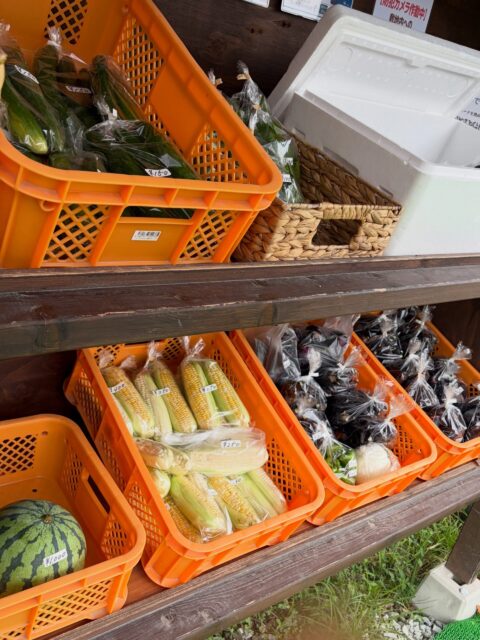 🍇🌿 本日も無人販売所、採れたて並んでます！ 🌿🍇

今朝は、いいぶどうが収穫できました✨
粒もしっかり大きくなって、きれいなぶどうに育ってくれました😊

房の大きさに合わせて、房売りとパックでご用意しています🍇
数に限りがありますので、気になる方はぜひお早めにどうぞ✨

🌽とうもろこしも収穫できています！
甘みものって、夏らしい美味しさ😋

ほかにも
🍆ナス
🥒きゅうり
🍉スイカなど
採れたての夏野菜を並べています🌿

🍅トマトは少しずつ収穫量が減ってきましたが、採れた分から並べています😊

雨で足元が悪いですがお越しの際はお気をつけください🙇‍♀️

本日もコロン’sファーム無人販売所、よろしくお願いします😊🌿

#コロンズファーム #南丹市 #無人販売所 #朝採り野菜 #ぶどう