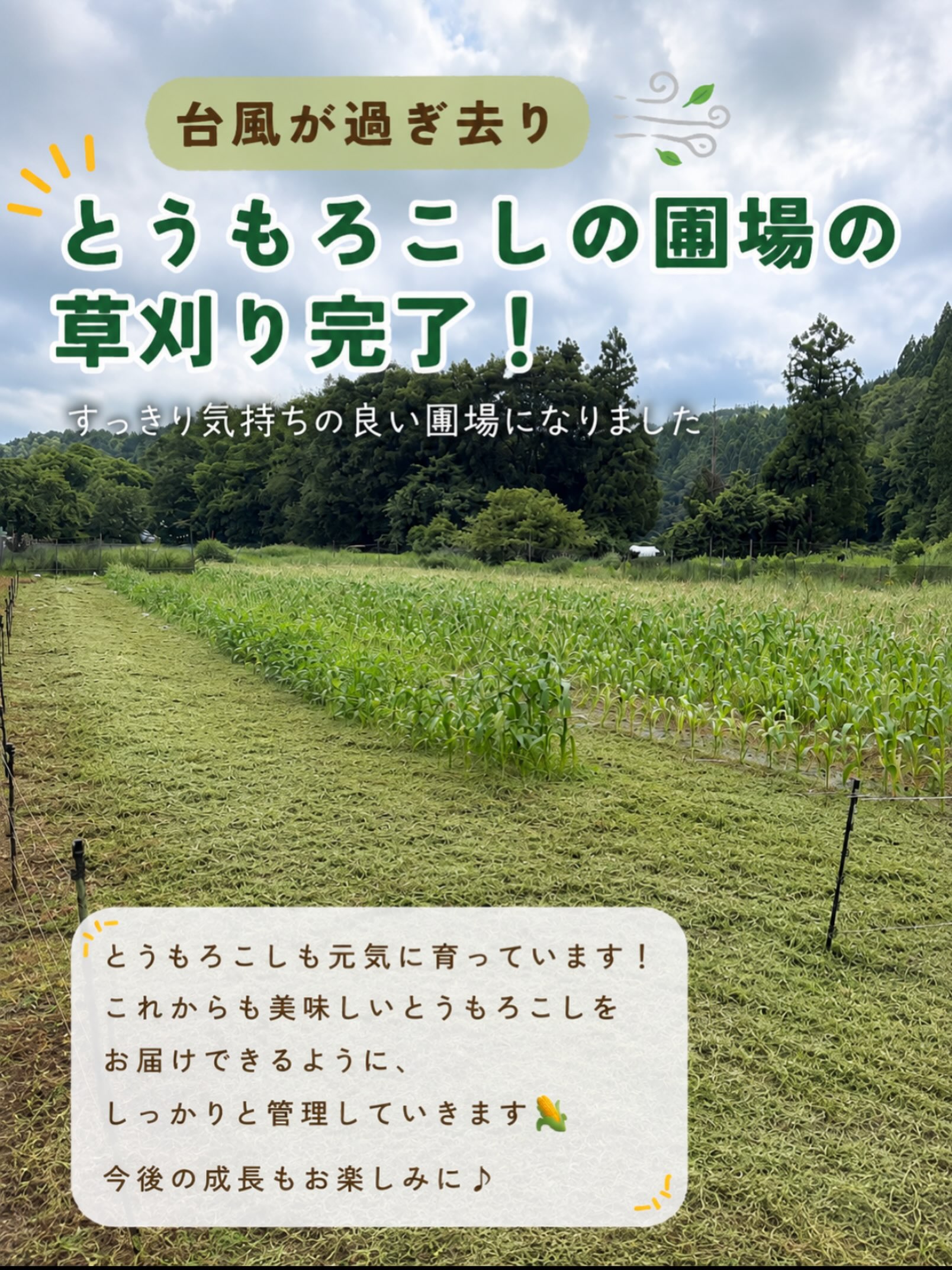 #コロンズファーム
#無人販売
#とうもろこし
#草刈り
#農業