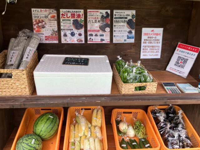 おはようございます😊
コロン’sファームです🌿

本日も無人販売所、オープンしています✨
朝から採れたてのお野菜を並べました！

今日は畑の枝豆も収穫🫛
ぷっくりと実が入って、いい感じに育っています😊
採れたてならではの香りと甘み、ぜひ味わってみてください✨

販売所には、とうもろこし🌽、ナス🍆、万願寺とうがらし、玉ねぎ🧅、スイカ🍉など、夏のお野菜が並んでいます。

そして畑では、栗も順調に成長中🌰
青いイガがずいぶん大きくなってきました！
暑い夏の真っ最中ですが、畑では少しずつ秋の準備も進んでいます☺️

今日も暑くなりそうです☀️
お越しの際は暑さに気をつけて、ゆっくりお立ち寄りくださいね。

本日もよろしくお願いします😊🌿

#コロンズファーム #南丹市 #無人販売所 #朝採れ野菜 #農家直売