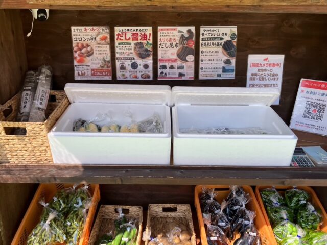 おはようございます☀️
コロン’sファームです😊

本日も無人販売所オープンしています🌿

今日は、ハニーシードレスも並んでいます🍇✨
やさしい黄緑色で、ぷりっとした実に育ってくれました😊

ほかにも、枝豆・ナス・万願寺とうがらし・きゅうりなど、採れたての夏野菜を並べています🌿

ぶどうは発泡スチロールの中に入れていますので、ふたを開けて見てくださいね😊

暑い日が続いていますので、お越しの際は暑さに気をつけてお立ち寄りください☀️

本日もよろしくお願いします✨

#コロンズファーム #南丹市 #無人販売所 #採れたて野菜 #ハニーシードレス