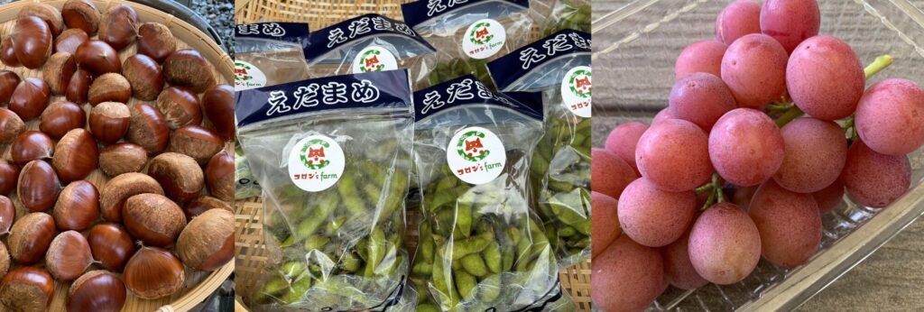 丹波産栗の販売風景（コロン’sファーム直売所）

コロン’sファームの黒豆枝豆（期間限定直売所）

直売所で販売する季節のぶどう