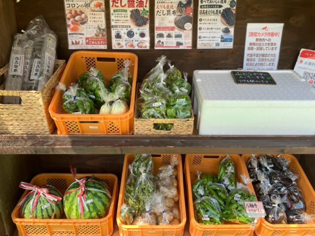 おはようございます☀️
コロン’sファームです😊

本日も無人販売所オープンしています🌿

今日も畑から、万願寺とうがらしやナス、きゅうり、枝豆など、採れたての夏野菜を並べています✨
枝豆もぷっくり実が入って、美味しそうに育っています🫛

ぶどう畑では、ブラックビート、ハニーシードレスも立派に育ってきました🍇
粒も大きくなり、色もしっかり入ってきています✨
収穫までもう少しお待ち下さい😊

暑い日が続きますので、気をつけてお越しくださいね♪
本日もよろしくお願いします！

#コロンズファーム #南丹市 #無人販売所 #採れたて野菜 #枝豆
