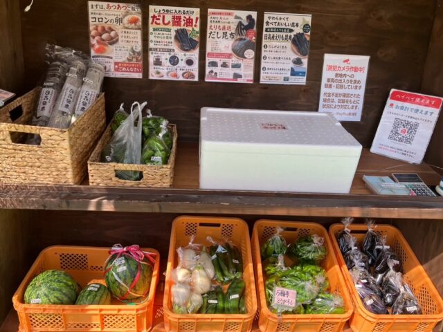 おはようございます☀️
コロン’sファームです😊

本日も無人販売所オープンしています🌿

今日も採れたての夏野菜を並べています✨
万願寺とうがらし、ナス、きゅうりなど、まだまだ元気に収穫できています😊

そして今日は、ハニーシードレスも収穫しました🍇✨
きれいな黄緑色で、ぷりっとした実に育ってくれました。
今年のぶどうも少しずつ収穫の時期を迎えています♪

3枚目の写真は昨日の夕方🌇
日中の暑さも少し落ち着いて、夕方は涼しくて作業もはかどりました😊
少しずつ秋が近づいてきてるのかなぁと感じます🍃

本日もよろしくお願いします✨

#コロンズファーム #南丹市 #無人販売所 #採れたて野菜 #ハニーシードレス