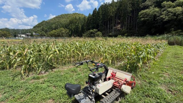 本日の作業は、収穫を終えたとうもろこし🌽圃場の整備です🚜✨

収穫を終えた畑をきれいに整え、次の作付けに向けて準備していきます💪
今年もたくさん実ってくれたとうもろこしに感謝です🙏🌽

暑い中での作業は大変ですが💦
少しずつ畑を整えながら、次のシーズンへ🥬

#コロンズファーム#無人販売#とうもろこし#畑作業#農家