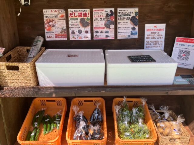 おはようございます☀️
コロン’sファームです😊

本日も無人販売所オープンしています🌿

今日も畑から採れたてのお野菜を並べています✨
枝豆、ナス、きゅうり、万願寺とうがらしなど、夏野菜がまだまだ頑張ってくれています😊

畑の万願寺とうがらしも次々と実をつけて元気いっぱい🌿
暑い中でも立派に育ってくれています。

トマト収穫量は少なくなってきましたが、もう少し楽しめそうです♪

発泡スチロールの中には、ぶどうも入っています🍇
ぜひフタを開けてご覧くださいね😊

本日もよろしくお願いします✨

#コロンズファーム #南丹市 #無人販売所 #採れたて野菜 #万願寺とうがらし
