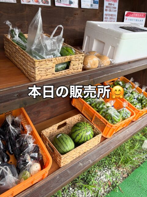おはようございます😊
コロン’sファームです🌱

本日も無人販売所オープンしています✨
ナス、ピーマン、きゅうりなど、採れたて野菜を並べています♪

今日はバターナッツもあります🎃
スープやポタージュにすると美味しいですよ😋

そして販売所では、新しく商品を並べる台も準備中🔨✨
これから秋野菜も増えてくるので、もっと見やすく選びやすい売り場にしていきます😊

本日もよろしくお願いします♪

#コロンズファーム #南丹市 #無人販売所 #採れたて野菜 #バターナッツ